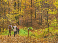 Dotto városnéző kisvonat