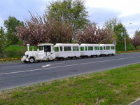 Dotto városnéző kisvonat